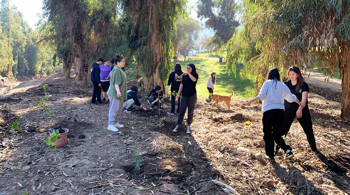 Exitosa reforestación en el Cerro San Juan de Machalí gracias a la colaboración de jóvenes y la Municipalidad